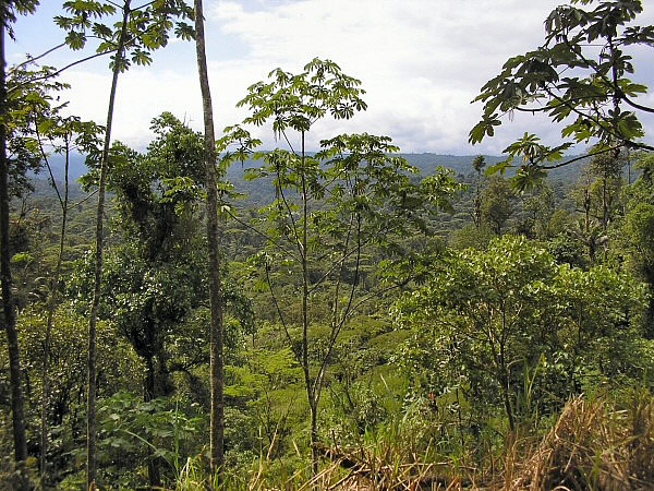 parque